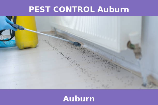 PEST CONTROL Auburn